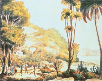 Blick auf die Küste Brasiliens gegenüber der Insel Santa Catarina, um 1825 von Ludwig Choris